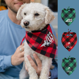 Winter Plaid Connecticut Dog Bandana