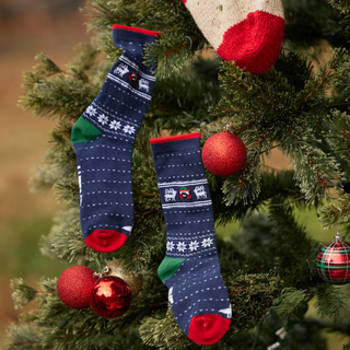 Youth CT Holiday Socks