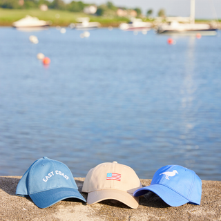 Needlepoint Seagull Hat