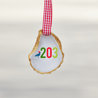 203 Shell Ornament